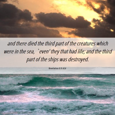 Picture 06 - Revelation 8:9 ASV - and there died the third part of the creatures - Bible Verse Picture