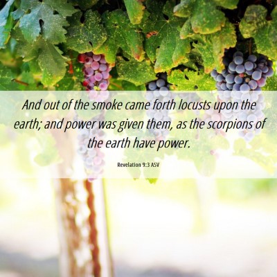 Picture 06 - Revelation 9:3 ASV - And out of the smoke came forth locusts upon the - Bible Verse Picture