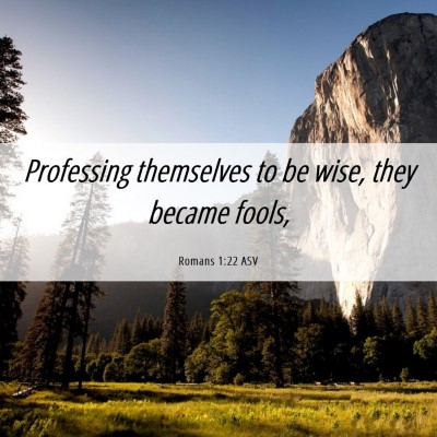 Picture 06 - Romans 1:22 ASV - Professing themselves to be wise, they became - Bible Verse Picture