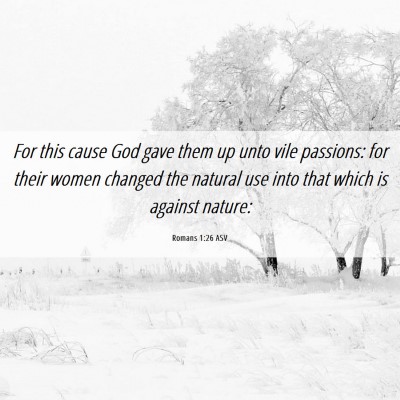 Picture 06 - Romans 1:26 ASV - For this cause God gave them up unto vile - Bible Verse Picture