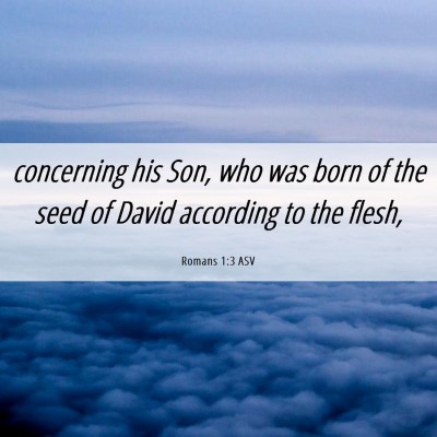 Picture 06 - Romans 1:3 ASV - concerning his Son, who was born of the seed of - Bible Verse Picture