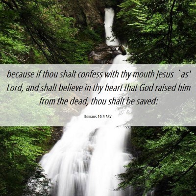 Picture 06 - Romans 10:9 ASV - because if thou shalt confess with thy mouth - Bible Verse Picture