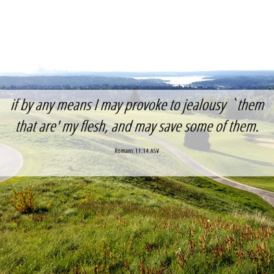 Picture 06 - Romans 11:14 ASV - if by any means I may provoke to jealousy `them - Bible Verse Picture