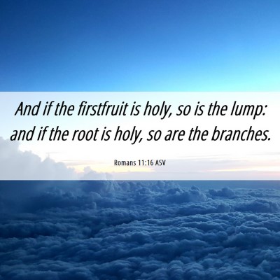 Picture 06 - Romans 11:16 ASV - And if the firstfruit is holy, so is the lump: - Bible Verse Picture