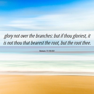 Picture 06 - Romans 11:18 ASV - glory not over the branches: but if thou - Bible Verse Picture