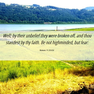 Picture 06 - Romans 11:20 ASV - Well; by their unbelief they were broken off, and - Bible Verse Picture