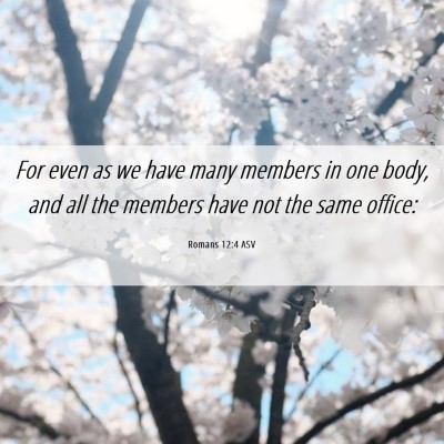 Picture 06 - Romans 12:4 ASV - For even as we have many members in one body, and - Bible Verse Picture