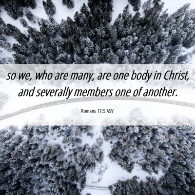 Picture 06 - Romans 12:5 ASV - so we, who are many, are one body in Christ, and - Bible Verse Picture