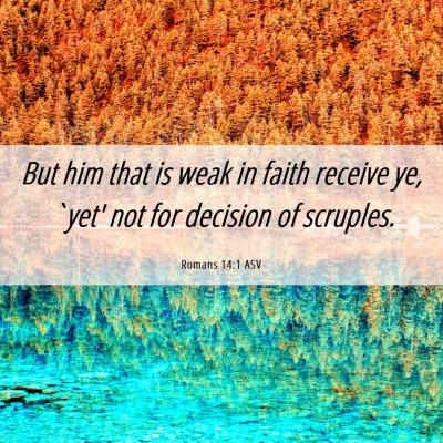 Picture 06 - Romans 14:1 ASV - But him that is weak in faith receive ye, `yet' - Bible Verse Picture