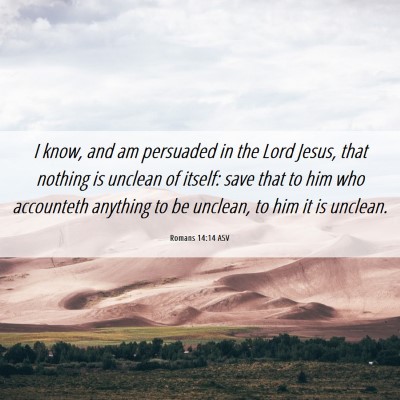 Picture 06 - Romans 14:14 ASV - I know, and am persuaded in the Lord Jesus, that - Bible Verse Picture