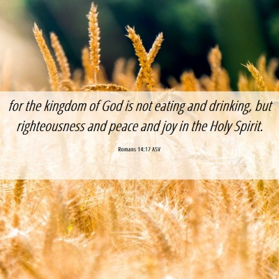 Picture 06 - Romans 14:17 ASV - for the kingdom of God is not eating and - Bible Verse Picture