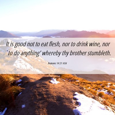 Picture 06 - Romans 14:21 ASV - It is good not to eat flesh, nor to drink wine, - Bible Verse Picture