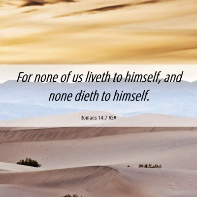 Picture 06 - Romans 14:7 ASV - For none of us liveth to himself, and none dieth - Bible Verse Picture