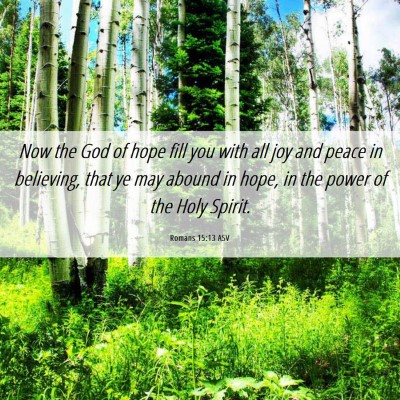 Picture 06 - Romans 15:13 ASV - Now the God of hope fill you with all joy and - Bible Verse Picture