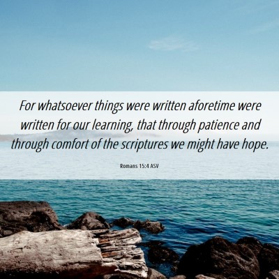 Picture 06 - Romans 15:4 ASV - For whatsoever things were written aforetime were - Bible Verse Picture