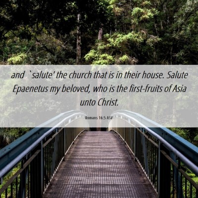 Picture 06 - Romans 16:5 ASV - and `salute' the church that is in their house. - Bible Verse Picture