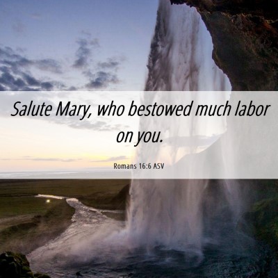Picture 06 - Romans 16:6 ASV - Salute Mary, who bestowed much labor on - Bible Verse Picture