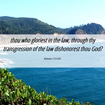 Picture 06 - Romans 2:23 ASV - thou who gloriest in the law, through thy - Bible Verse Picture