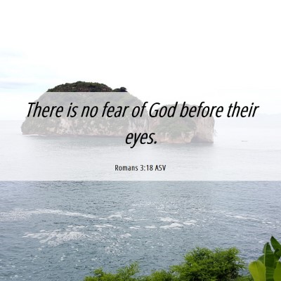 Picture 06 - Romans 3:18 ASV - There is no fear of God before their - Bible Verse Picture