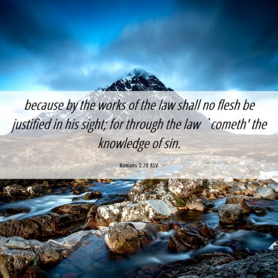 Picture 06 - Romans 3:20 ASV - because by the works of the law shall no flesh be - Bible Verse Picture