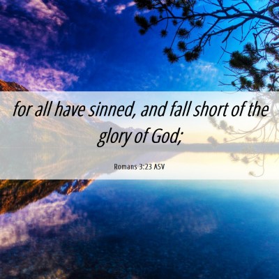 Picture 06 - Romans 3:23 ASV - for all have sinned, and fall short of the glory - Bible Verse Picture