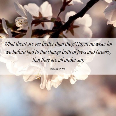 Picture 06 - Romans 3:9 ASV - What then? are we better than they? No, in no - Bible Verse Picture