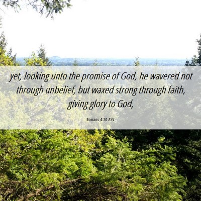 Picture 06 - Romans 4:20 ASV - yet, looking unto the promise of God, he wavered - Bible Verse Picture