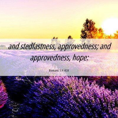 Picture 06 - Romans 5:4 ASV - and stedfastness, approvedness; and approvedness, - Bible Verse Picture