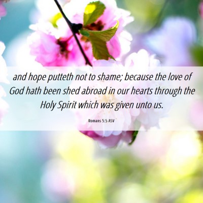 Picture 06 - Romans 5:5 ASV - and hope putteth not to shame; because the love - Bible Verse Picture