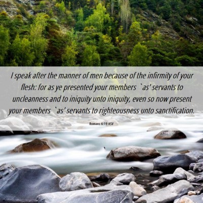 Picture 06 - Romans 6:19 ASV - I speak after the manner of men because of the - Bible Verse Picture