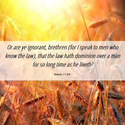 Picture 06 - Romans 7:1 ASV - Or are ye ignorant, brethren (for I speak to men - Bible Verse Picture