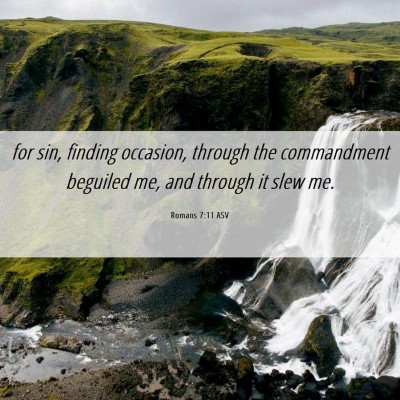 Picture 06 - Romans 7:11 ASV - for sin, finding occasion, through the - Bible Verse Picture