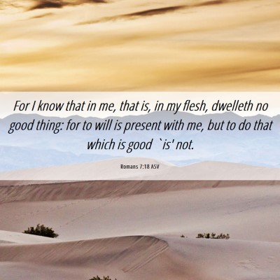 Picture 06 - Romans 7:18 ASV - For I know that in me, that is, in my flesh, - Bible Verse Picture