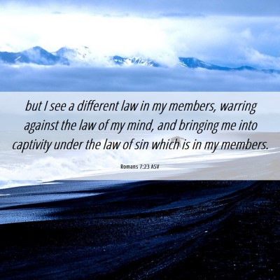Picture 06 - Romans 7:23 ASV - but I see a different law in my members, warring - Bible Verse Picture