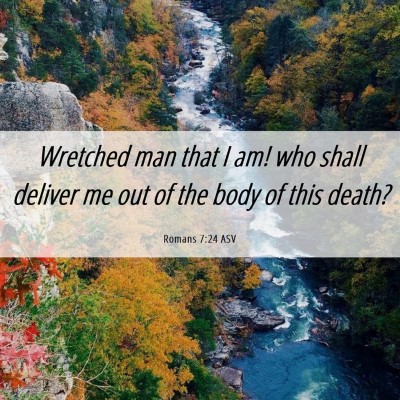 Picture 06 - Romans 7:24 ASV - Wretched man that I am! who shall deliver me out - Bible Verse Picture