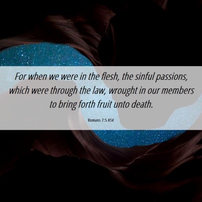 Picture 06 - Romans 7:5 ASV - For when we were in the flesh, the sinful - Bible Verse Picture