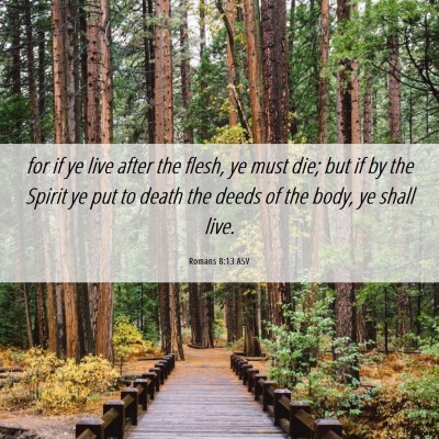 Picture 06 - Romans 8:13 ASV - for if ye live after the flesh, ye must die; but - Bible Verse Picture