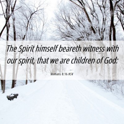 Picture 06 - Romans 8:16 ASV - The Spirit himself beareth witness with our - Bible Verse Picture