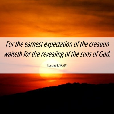 Picture 06 - Romans 8:19 ASV - For the earnest expectation of the creation - Bible Verse Picture