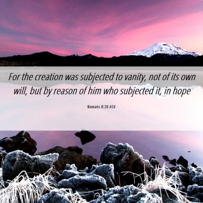 Picture 06 - Romans 8:20 ASV - For the creation was subjected to vanity, not of - Bible Verse Picture