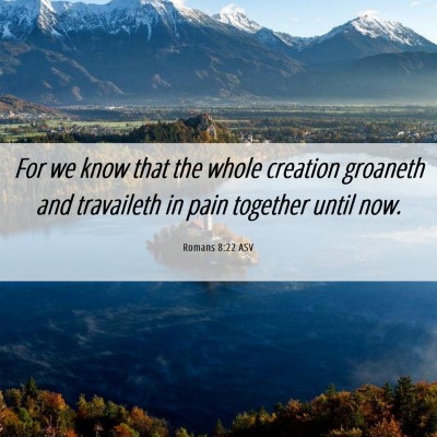 Picture 06 - Romans 8:22 ASV - For we know that the whole creation groaneth and - Bible Verse Picture