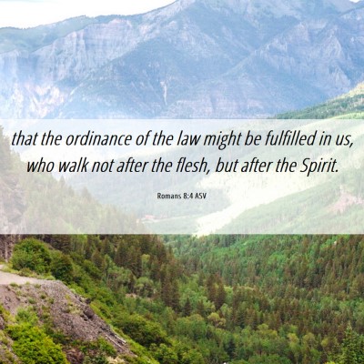 Picture 06 - Romans 8:4 ASV - that the ordinance of the law might be fulfilled - Bible Verse Picture
