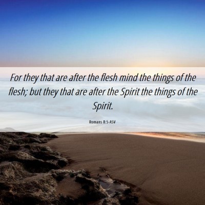 Picture 06 - Romans 8:5 ASV - For they that are after the flesh mind the things - Bible Verse Picture