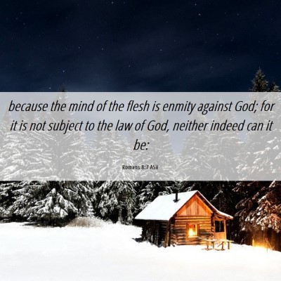 Picture 06 - Romans 8:7 ASV - because the mind of the flesh is enmity against - Bible Verse Picture