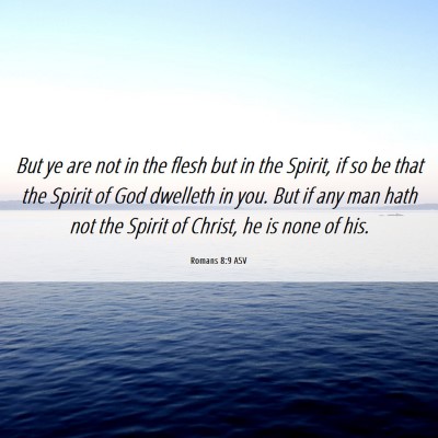 Picture 06 - Romans 8:9 ASV - But ye are not in the flesh but in the Spirit, if - Bible Verse Picture