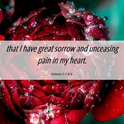 Picture 06 - Romans 9:2 ASV - that I have great sorrow and unceasing pain in my - Bible Verse Picture