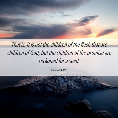 Picture 06 - Romans 9:8 ASV - That is, it is not the children of the flesh that - Bible Verse Picture