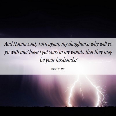 Picture 06 - Ruth 1:11 ASV - And Naomi said, Turn again, my daughters: why - Bible Verse Picture
