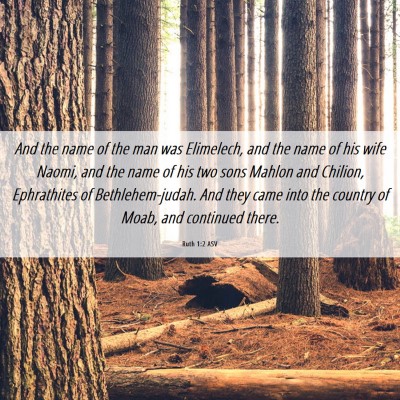 Picture 06 - Ruth 1:2 ASV - And the name of the man was Elimelech, and the - Bible Verse Picture