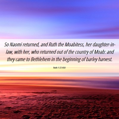 Picture 06 - Ruth 1:22 ASV - So Naomi returned, and Ruth the Moabitess, her - Bible Verse Picture